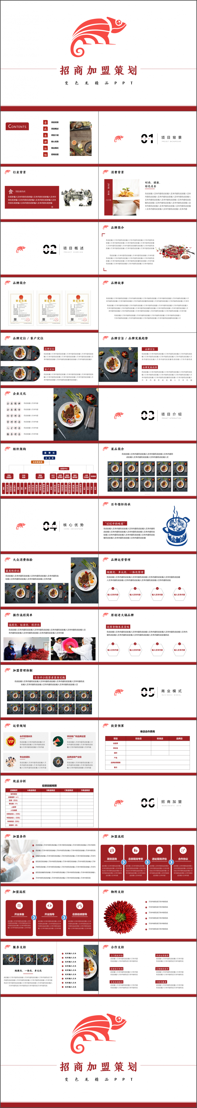 招商加盟策划