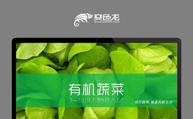 新鲜果蔬有机蔬菜农业创业计划书PPT模板缩略图