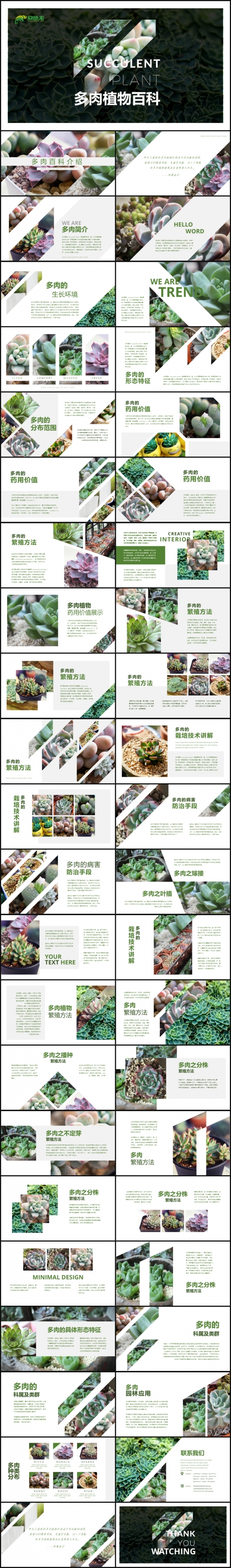 原创绿色清新多肉植物介绍教育课件ppt模板