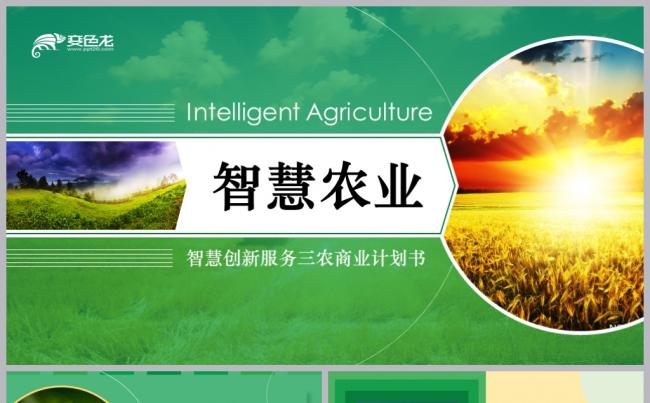 【境海】2019绿色简约智慧农业服务三农互联网商业计划书模板缩略图
