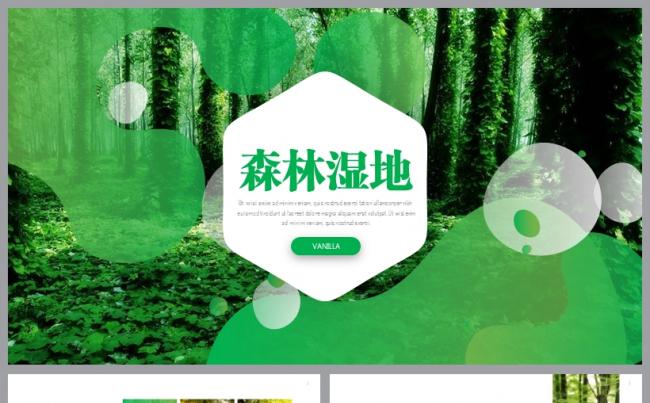 森林湿地公园绿色环保工作汇报模板缩略图