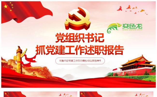 党组织书记抓党建工作述职报告PPT课件缩略图