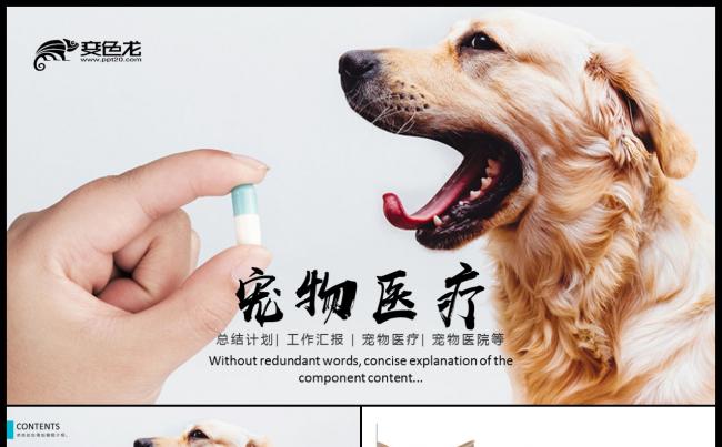 创意宠物医院ppt模板缩略图