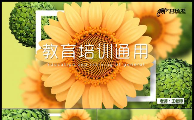 2019最新清新淡雅教师工作汇报PPT模板缩略图