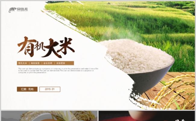 绿色有机大米丰收PPT模板缩略图