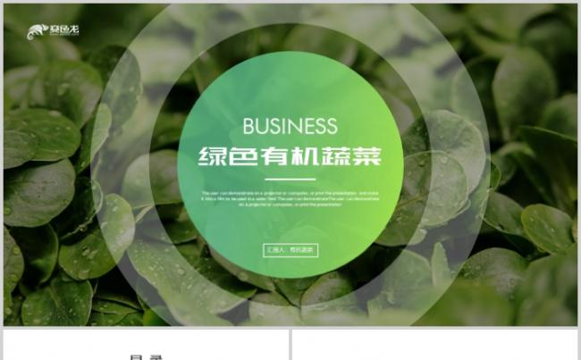 绿色有机蔬菜介绍PPT模板缩略图
