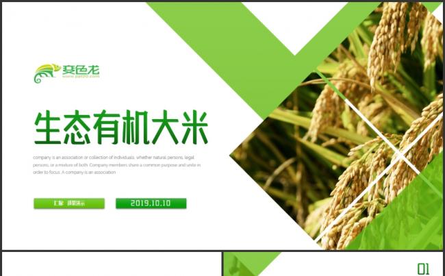 有机大米农业丰收PPT模板缩略图