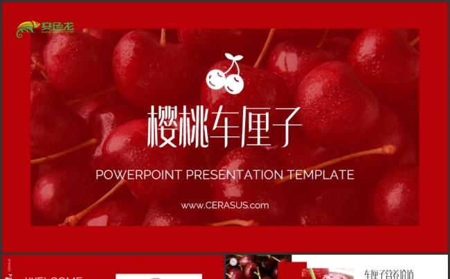 车厘子水果商业计划书PPT模板缩略图