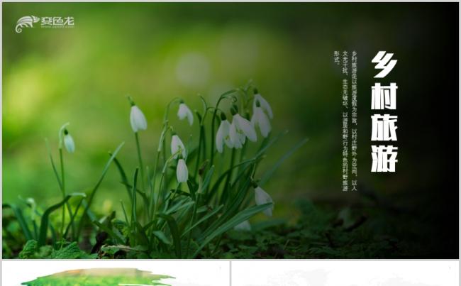 乡村旅游环保通用PPT模板缩略图