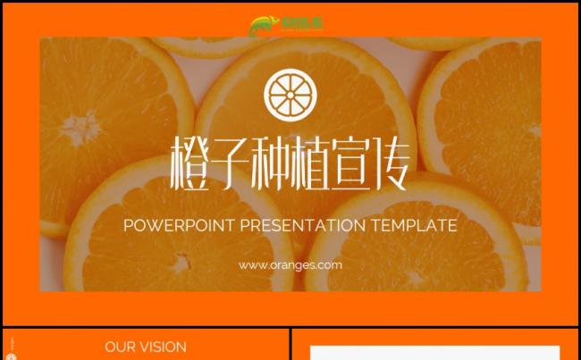 创意魅力鲜橙推广宣传商业计划书PPT模板缩略图