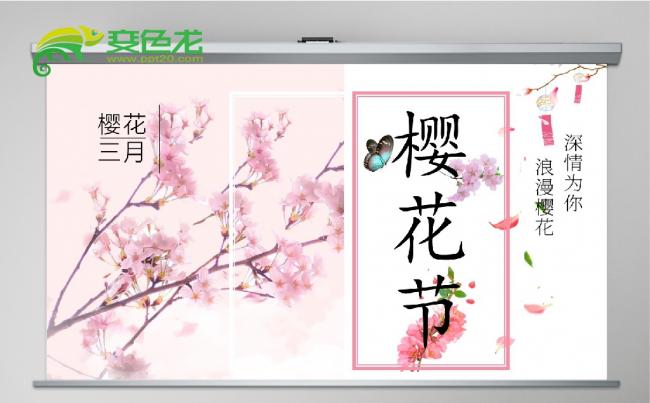 清新淡雅粉色樱花节计划总结ppt模板缩略图