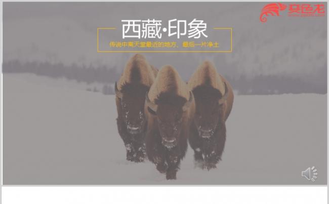 2019简约西藏旅游文化介绍PPT模板缩略图