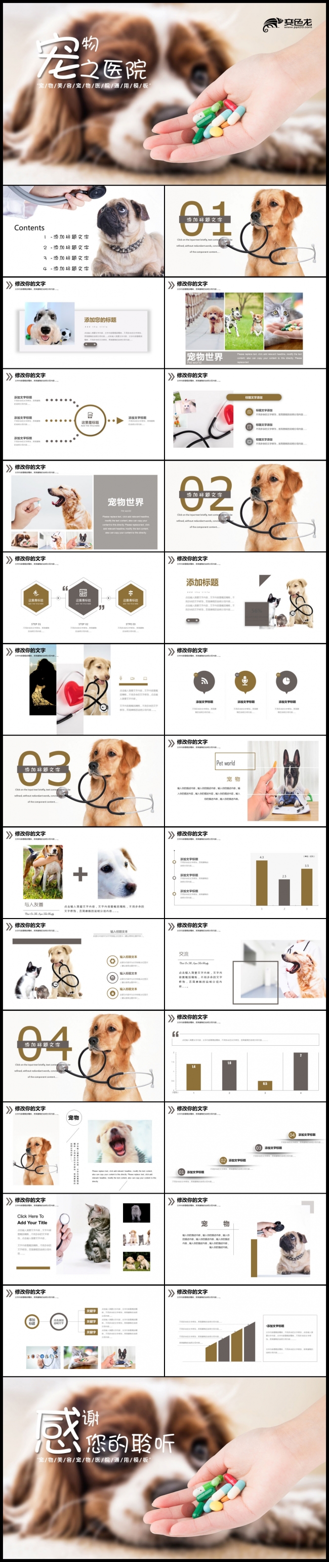 2019可爱宠物养护工作总结汇报PPT模板