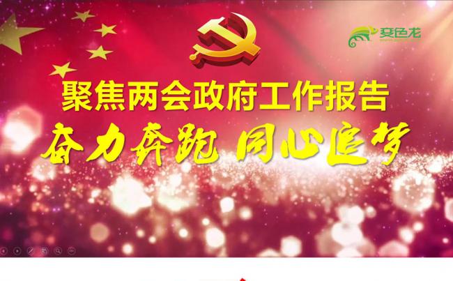 2019年全国两会党政政府工作报告学习解读PPT模板缩略图