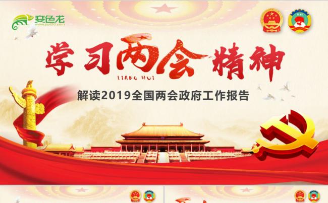 2019两会精神学习心得体会政府工作报告解读党建PPT模板缩略图