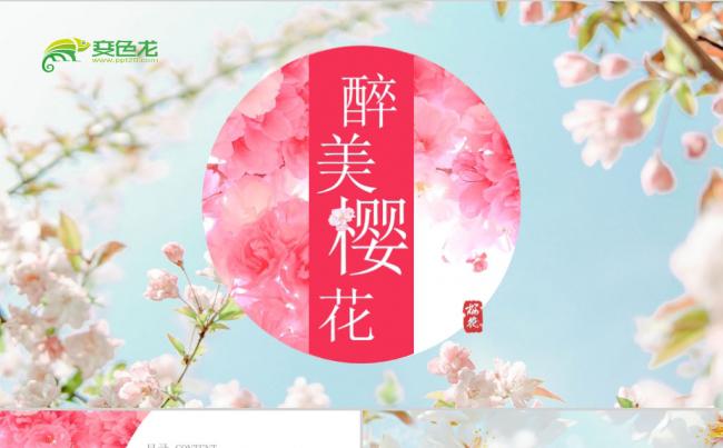 醉美樱花风旅游踏青宣传计划书PPT模板缩略图
