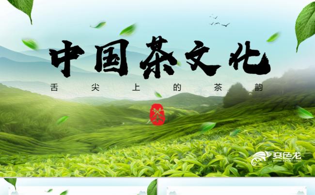 高端大气茶叶茶园产品宣传茶文化PPT模板缩略图