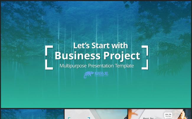 高端时尚英文公司简介商业计划企业宣传PPT模板缩略图