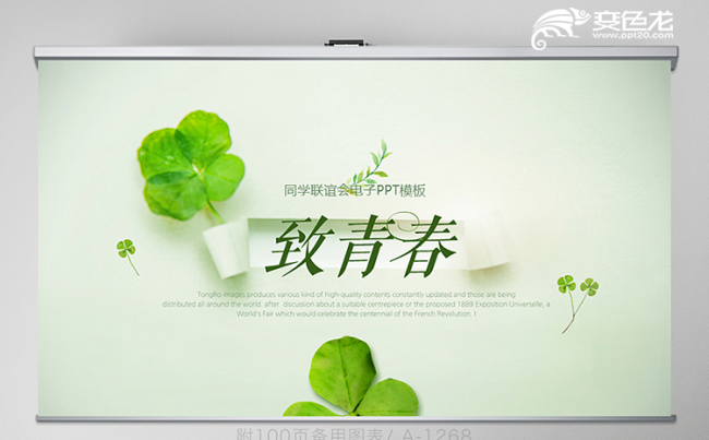 绿色简约四叶草主题致青春毕业纪念册动态PPT模板缩略图