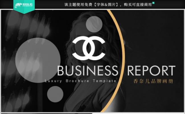 时尚香奈儿品牌商业计划书奢侈品画册PPT模板缩略图