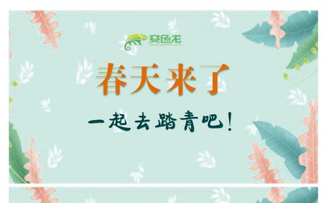 春天来了一起去踏青吧郊游旅行纪念册PPT模板缩略图