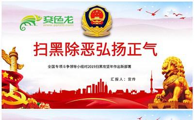 2019年扫黑除恶弘扬正气党课学习PPT模板缩略图