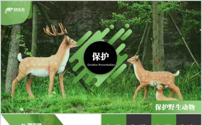 简约绿色保护野生动物年终总结工作汇报PPT模板缩略图
