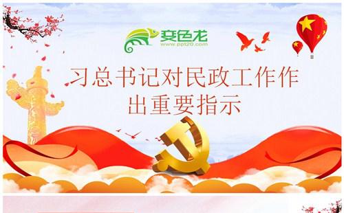 习总书记对民政工作作出重要指示党政解读PPT模板缩略图