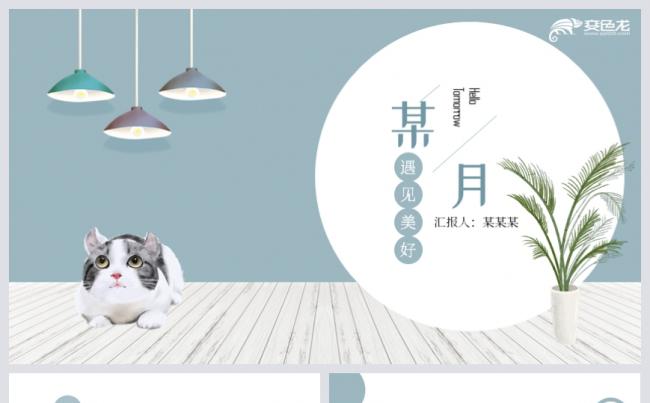 文艺小清新猫咪主题总结计划教学培训通用PPT模板缩略图