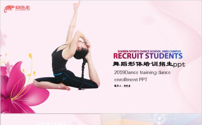 唯美精致风舞蹈形体培训招生PPT模板缩略图