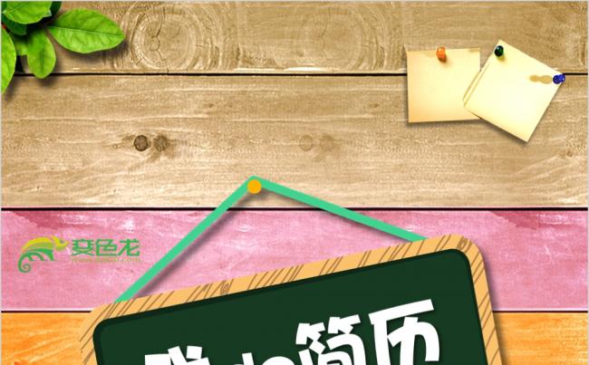 质感简约风小升初竖版简历PPT模板缩略图
