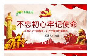 大气简洁不忘初心牢记使命主题教育课件PPT模板缩略图