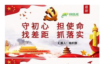 不忘初心牢记使命主题教育总书记讲话精神学习PPT模板缩略图