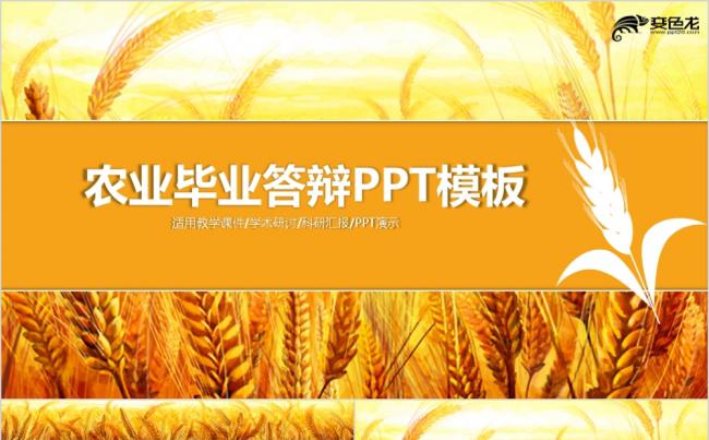 微粒体黄色农业毕业答辩学术研究通用PPT模板缩略图