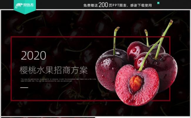 商务风樱桃种植方案樱桃销售车厘子招商方案PPT模板缩略图