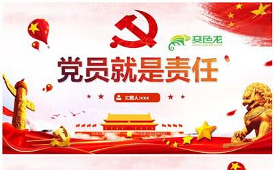 红色大气党员责任担当争做合格党员学习课件PPT模板缩略图