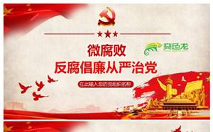 微腐败反腐倡廉从严治党党课党建学习课件PPT模板缩略图