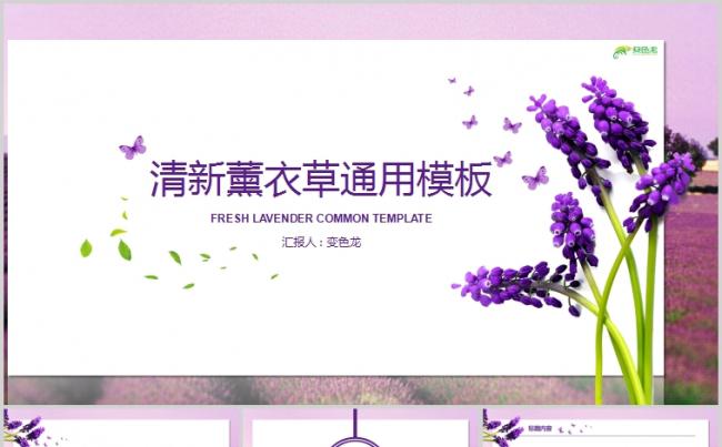 清新淡雅薰衣草背景工作通用PPT模板缩略图