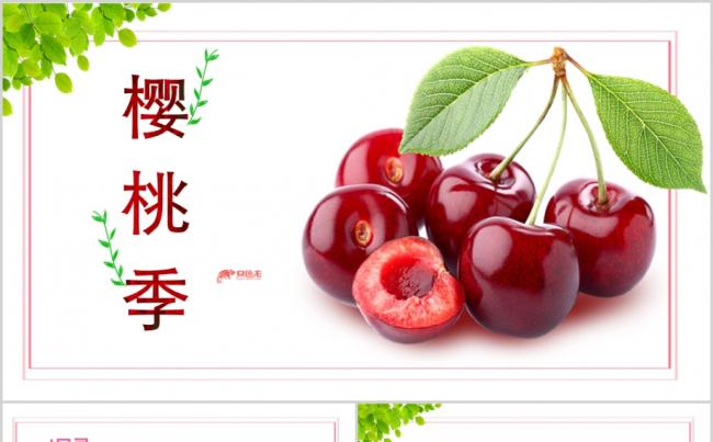 粉色简约樱桃种植销售车厘子水果ppt模板缩略图