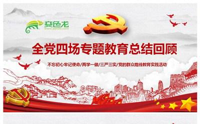四场专题教育总结回顾党课党建课件PPT模板缩略图