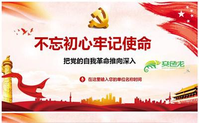 不忘初心牢记使命把党的自我革命推向深入PPT模板缩略图