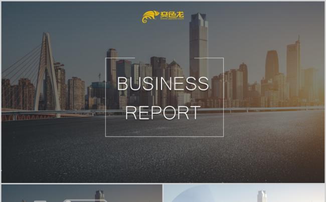 灰色简约画册风商务办公工作汇报PPT模板缩略图