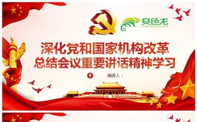 深化党和国家机构改革总结会议精神学习PPT模板缩略图