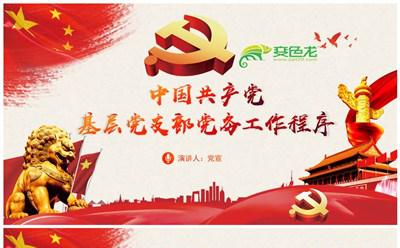 学习中国共产党基层党支部党务工作程序PPT模板缩略图
