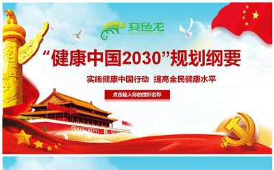 党政风健康中国2030规划纲要学习解读课件PPT模板缩略图