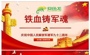 红色党政风庆祝中国人民解放军建军92周年PPT模板缩略图