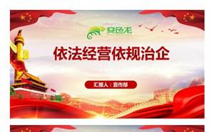 依法经营依规治企党课课件PPT课件缩略图
