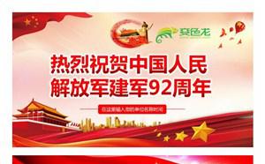 热烈祝贺中国人民解放军建军92周年PPT模板缩略图