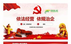 大气简洁依法经营依规治企党课PPT模板缩略图