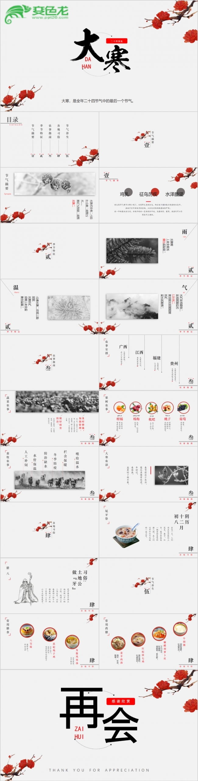 创意梅花主题二十四节气之大寒节气PPT模板